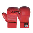 Picture of PRIDE Karate gloves for competitions and training