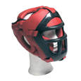 Picture of Headguard with full protection