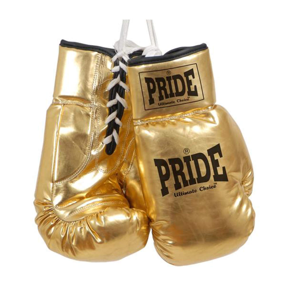 Persuasion option chimney Promotional - autograph boxing gloves - Pride Webshop