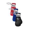 Picture of Everlast® pendant for keys