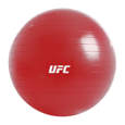 Picture of UFC fitness lopta