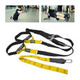 Picture of PRIDE sistem traka za trening - Suspension Trainer