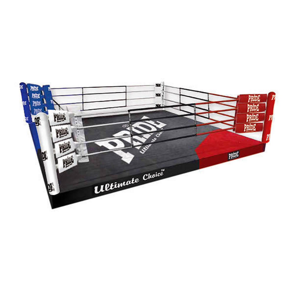 Picture of Professional boxing / THAI / MMA training ring