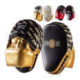 Picture of 3140 PRIDE Punch Mitts Manhattan