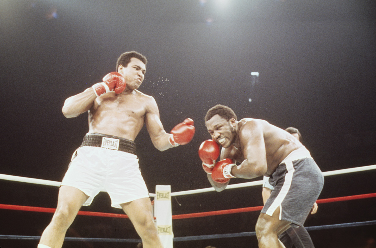 Picture for category Za kolekcionare